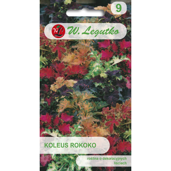 Skaistnātrīte Rokoko, Coleus blumei