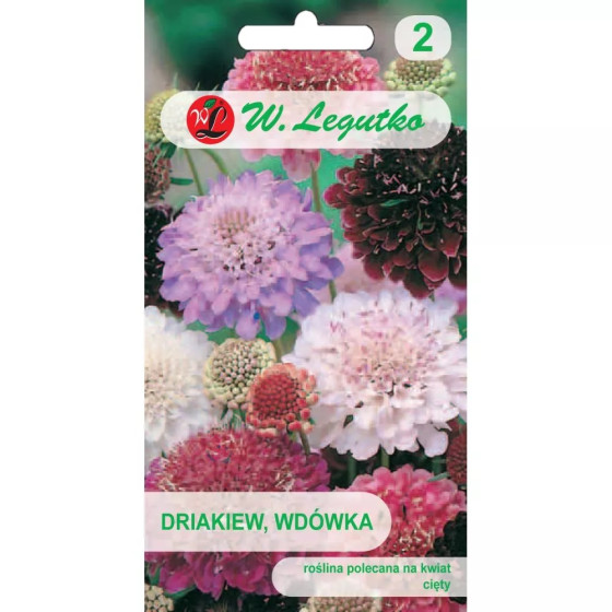 Skabiozas, skabiozu sēklas, puprursarkanās skabiozas, scabiosa atropur