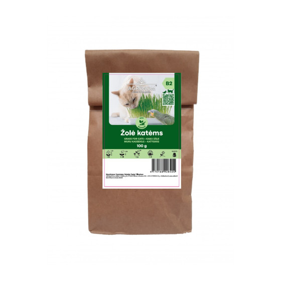 KAĶU zāle, zaļumi kaķiem, zaļumi kaķim, auzu sēklas, auzas kaķiem