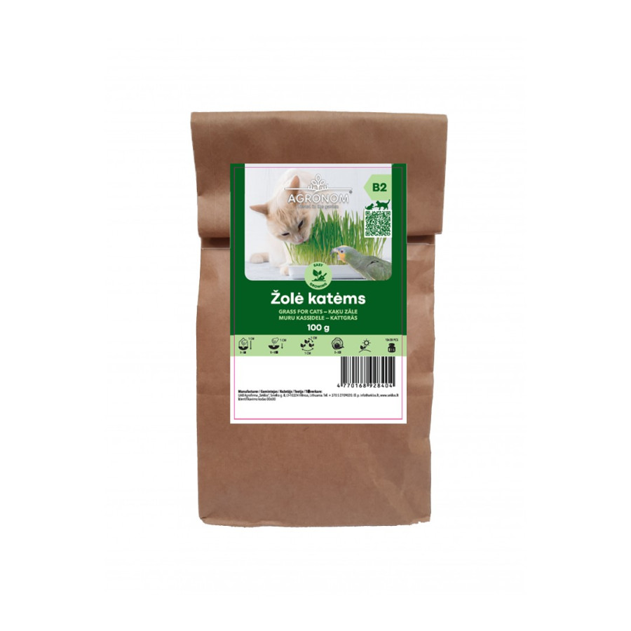 KAĶU zāle, zaļumi kaķiem, zaļumi kaķim, auzu sēklas, auzas kaķiem