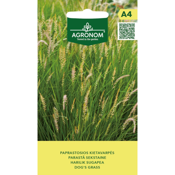 Sekstaine parastā, graudzāles, Cynosurus cristatus