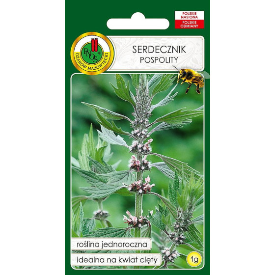 Mātere, Māteres sēklas, Leonurus cardiaca, Sirds mātere