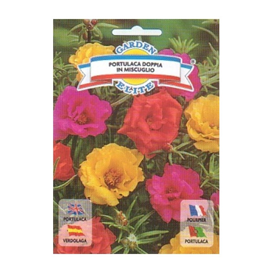 Portulakas lielziedu (pildītas) Mix, Portulakas, Portulaku sēklas, Portulaca grandiflora