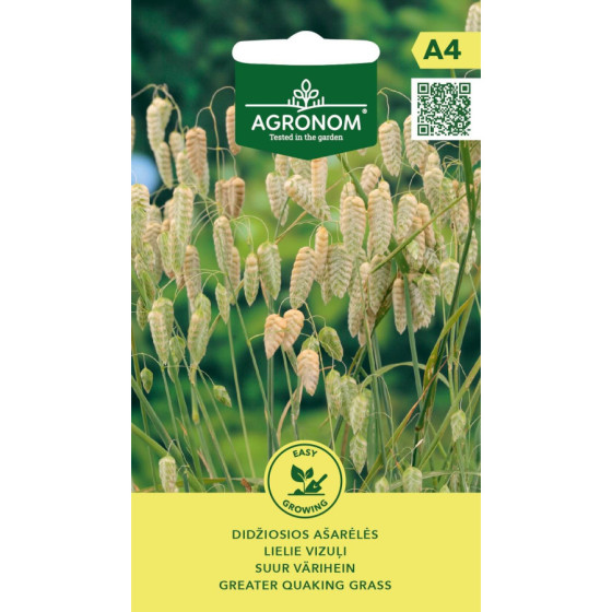 Vizuļi lielie, vizuļi, puķu sēklas