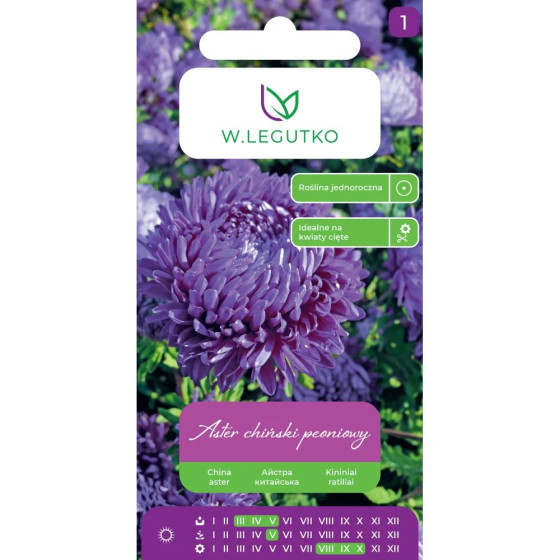 Asteres ķīnas peoniju violet, Asteru sēklas, Asteres