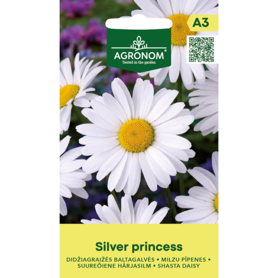 Pīpene milzu SILVER PRINCESS, margrietiņas, Pīpeņu sēklas, Pīpenes