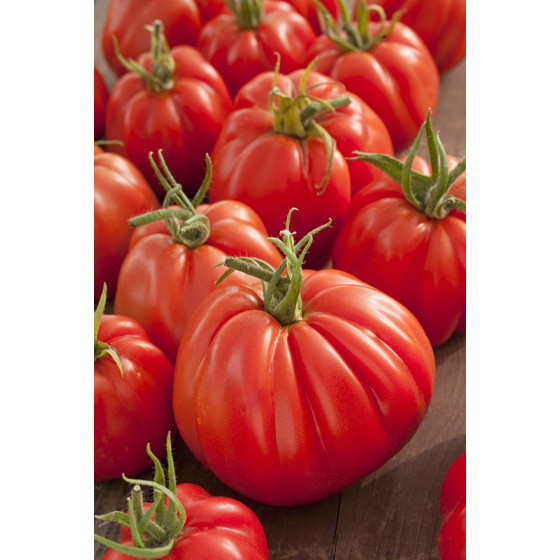 Tomāti Corazon, Corazon f1, tomatū sēklas Corazon, tomati Corazon f1