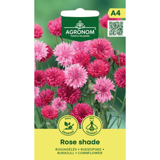 Rudzupuķes Rose Shade, rudzupuķes, rudzupuķu sēklas