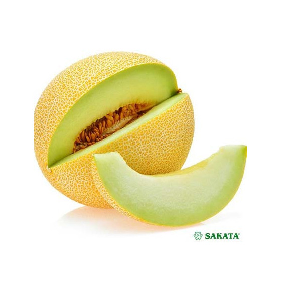 Melones Exelor F1, Meloņu sēklas, Excelor F1