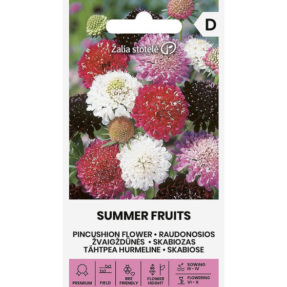 Skabiozas SUMMER FRUITS, skabiozas, skabiozu sēklas