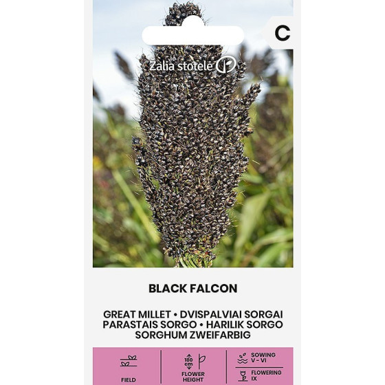 Sorgo parastais BLACK FALCON, sorgo, zālaugs
