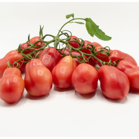 Tomāti Baby Munda F1, Tomato BabyMunda