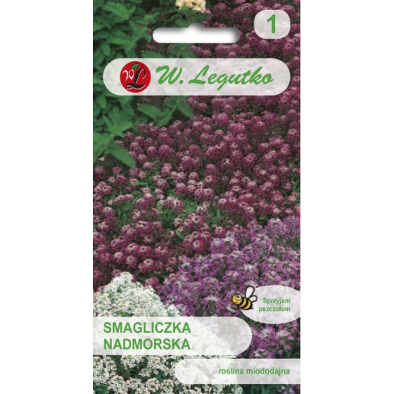 Lobulārija jūrmalas, Jūrmalas lobulārijas, Alisītes, Alisīšu sēklas