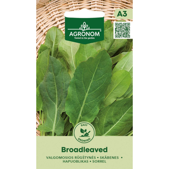 Skābenes BROADLEAVED, skābenes, skābeņu sēklas