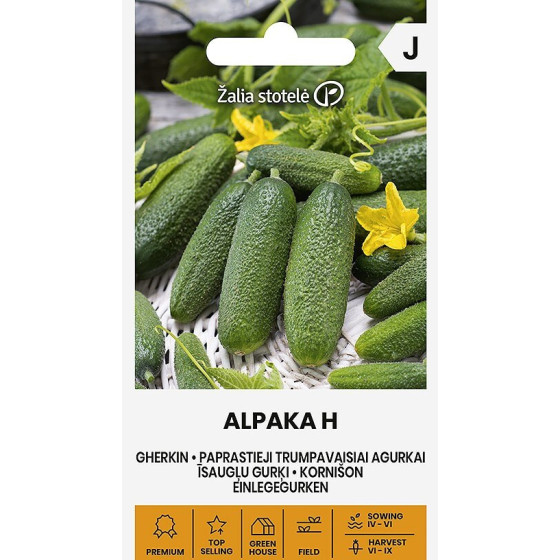 Gurķi ALPAKA H, gurķi, gurķu sēklas, sīkkārpainie gurķi, īsaugļu gurķi, gurķis
