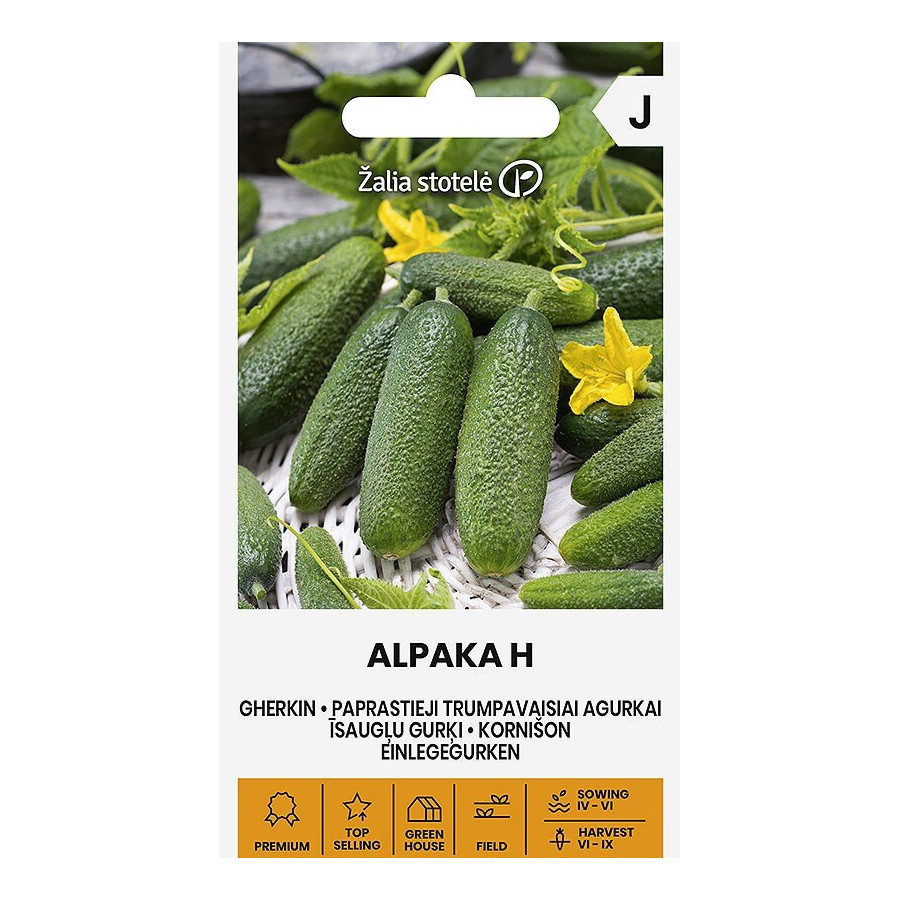 Gurķi ALPAKA H, gurķi, gurķu sēklas, sīkkārpainie gurķi, īsaugļu gurķi, gurķis