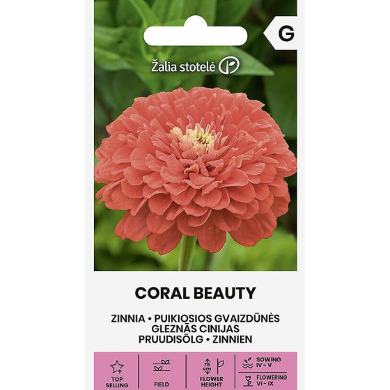 Cinnijas gleznās CORAL BEAUTY, cinnijas, cinniju sēklas