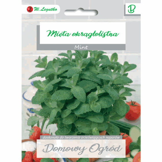 Piparmētra, Piparmētras sēklas, Piparmētra apaļlapu, Mentha rotundifolia, Apaļlapu piparmētra