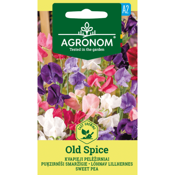 Puķuzirnīši smaržīgie OLD SPICE, puķuzirnīši, puķuzirnīšu sēklas