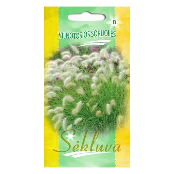 Lapsastu spalvzāle, pennisetum villosum