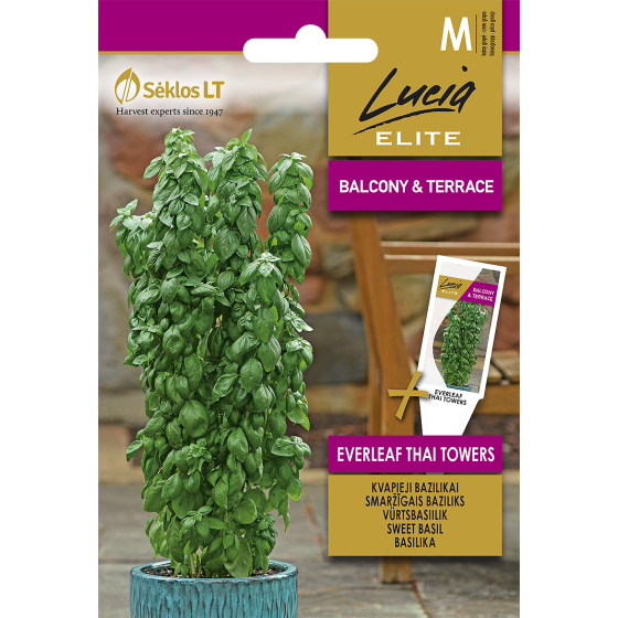 Baziliks, Smaržīgais baziliks, Baziliks Tower, Bazilika sēklas