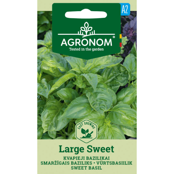 Baziliks smaržīgais LARGE SWEET , baziliks, bazilika sēklas, baziliks smaržīgais