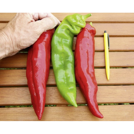 Paprika Estilo F1