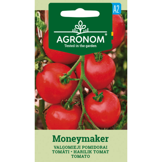 Tomāti MONEYMAKER, tomāti, tomātu sēklas