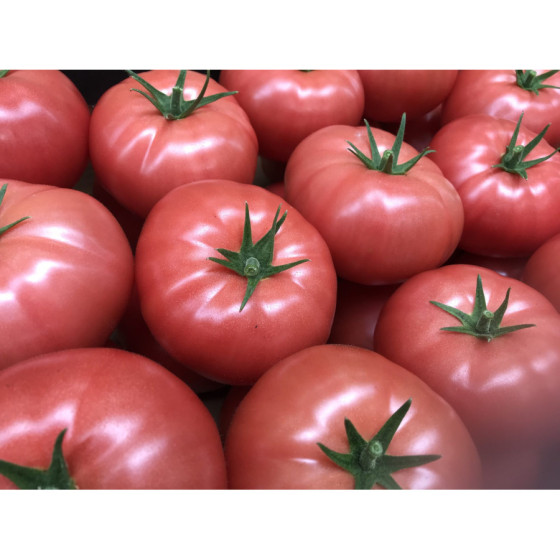 Tomāti Yarimaru F1 3 sēklas