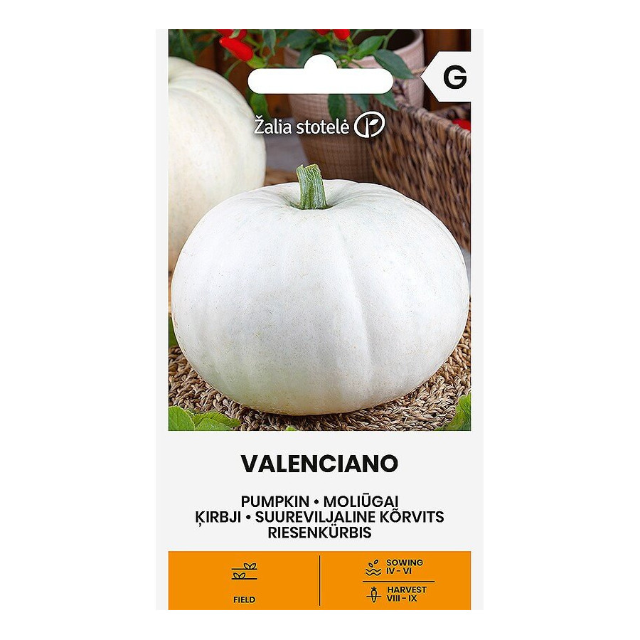 Ķirbji Valenciano, ķirbji, ķirbju sēklas,