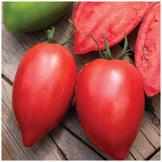 Tomāti Rugby F1, Tomātu sēklas Rugby