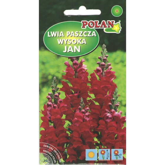 Lauvmutītes Commander