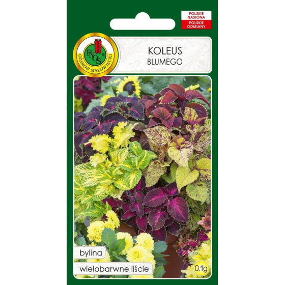 Skaistnātrīte, Coleus blumei