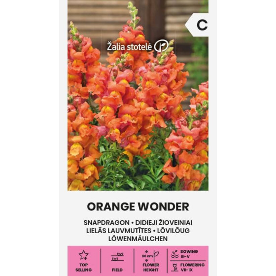 Lauvmutītes Orange Wonder, lauvmutītes, lauvmutīšu sēklas