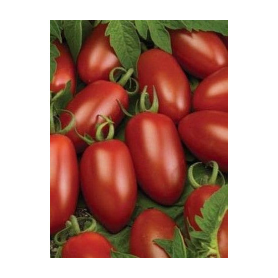 Tomāti Caprese F1