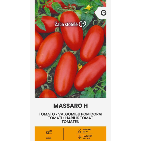 Tomāti MASSARO H, Tomātu sēklas MASSARO H