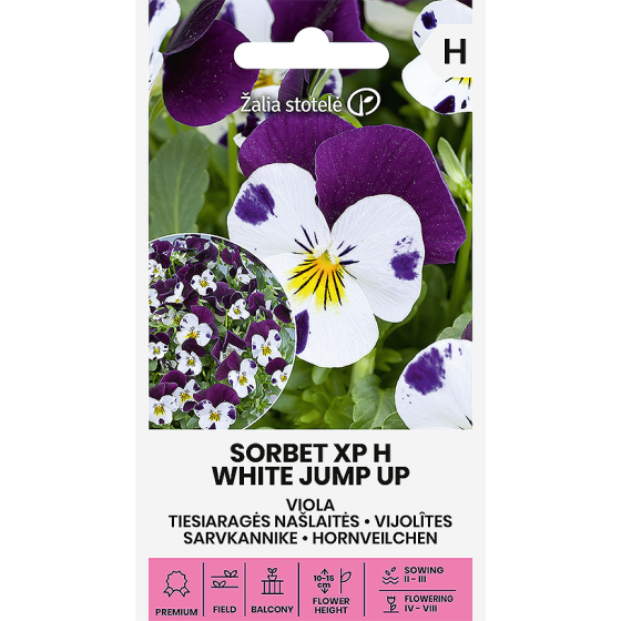 Atraitnītes Sorbet xp H White Jump up 20s