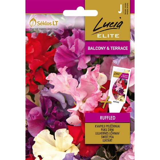 Puķuzirnīši RUFFLED, puķuzirnīši