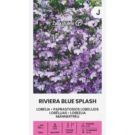 Lobēlijas Riviera Blue Splash, Lobēlijas, Lobēliju sēklas