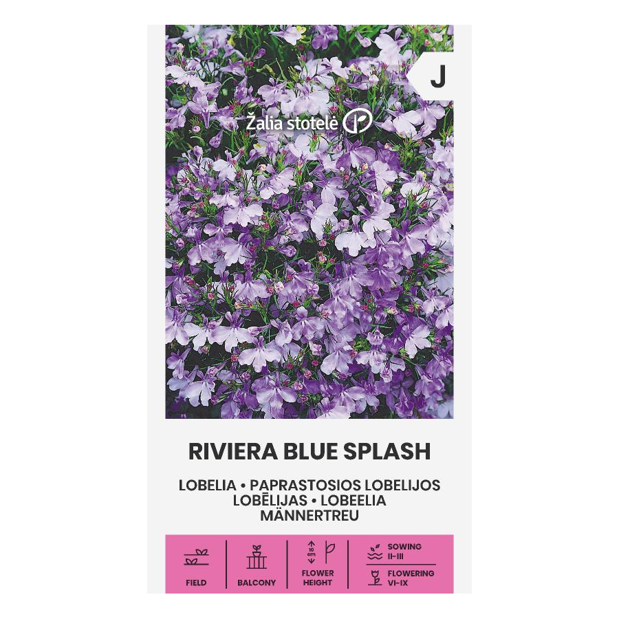 Lobēlijas Riviera Blue Splash, Lobēlijas, Lobēliju sēklas