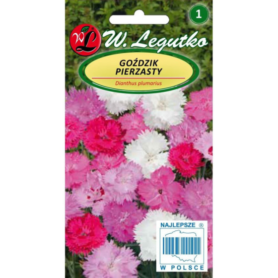 Neļķes spalvu pildītas Mix, Dianthus plumarius