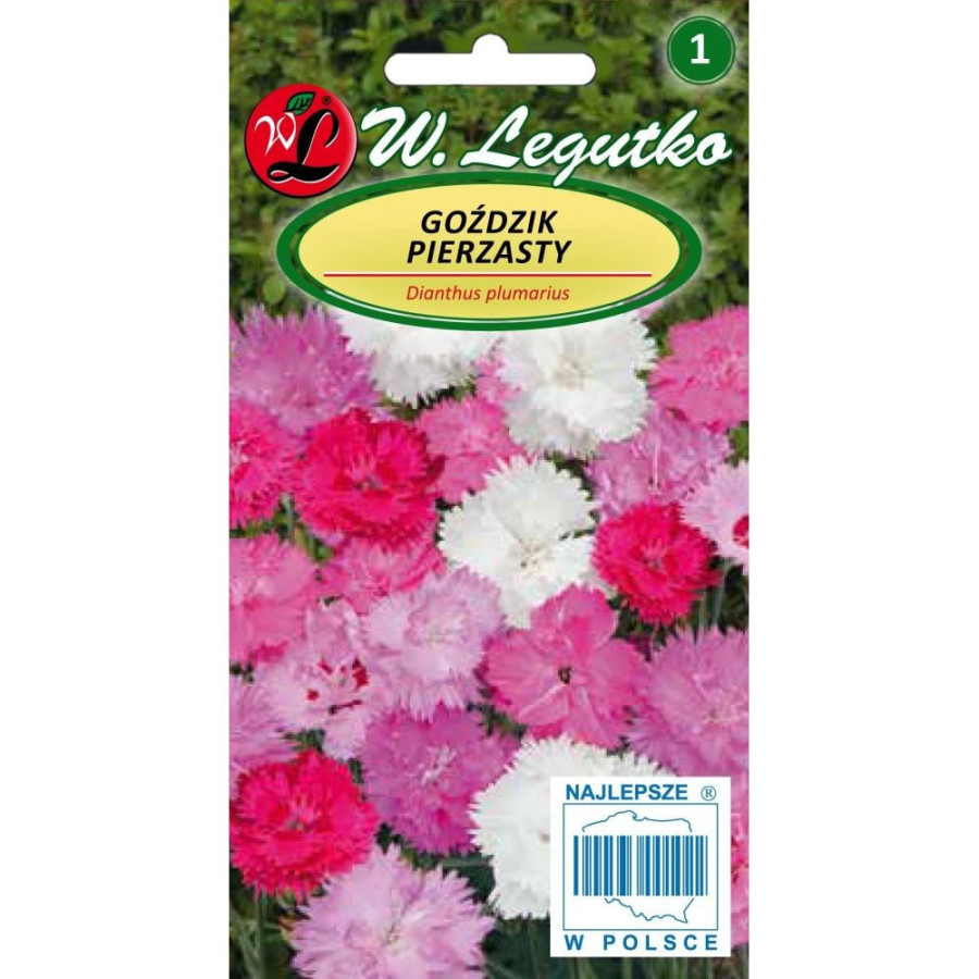 Neļķes spalvu pildītas Mix, Dianthus plumarius