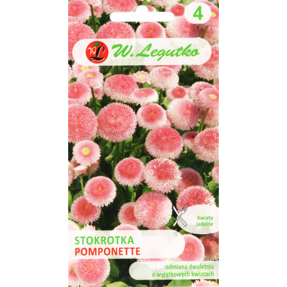 Mārpuķītes, Mārpuķīšu sēklas, Bellis perennis