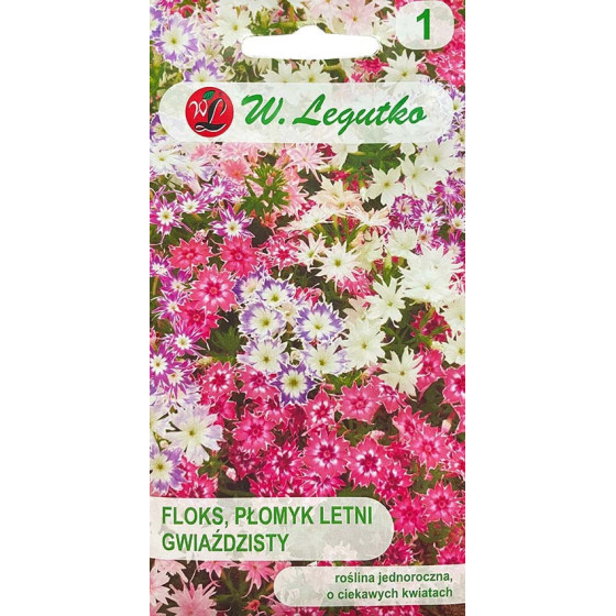 flokši, drumonda flokši, flokšu sēklas, phlox drumondii, zemie flokši