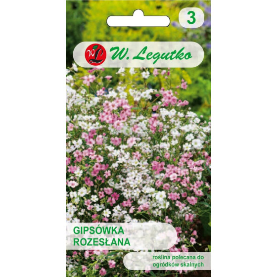 Ģipsene ložņu Mix, Ģipsene, Plīvurpuķe, Ģipseņu sēklas, Gypsophila