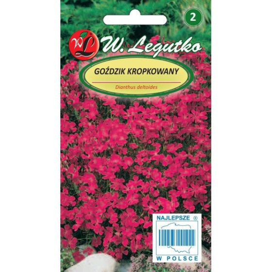 Dzirkstelītes karmīnsarkanas, Dzirkstelīšu sēklas, Dianthus deltoides