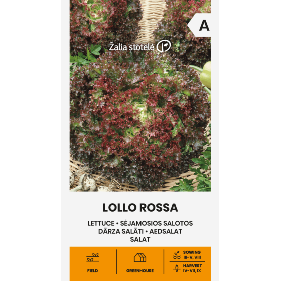 Salāti Lollo Rossa, salāti, salātu sēklas