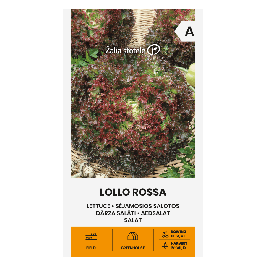 Salāti Lollo Rossa, salāti, salātu sēklas