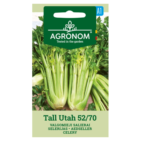 Selerijas Tall Utah 52/70, selerijas, selerijas sēklas