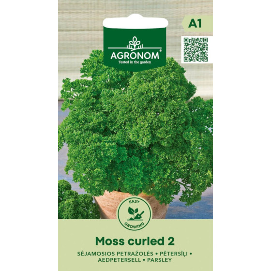 Pētersīļi Moss Curled 2, pētersīļi, pētersīļu sēklas